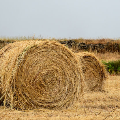 Black Baling Twine 2Kg Roll